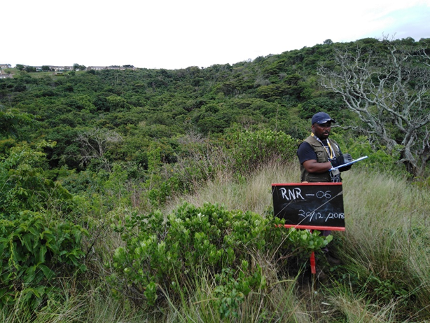 Bheka undertaking vegetation recruitment