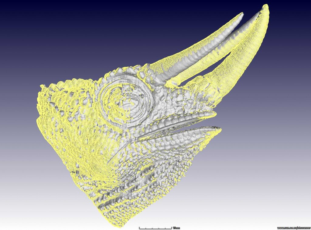 head of the CT lab cad mesh