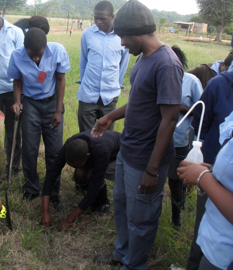 Grade 11 learners from the Mugoidwa Secondary School planting pitfall traps under the watchful eye of Duncan Nengwenani.