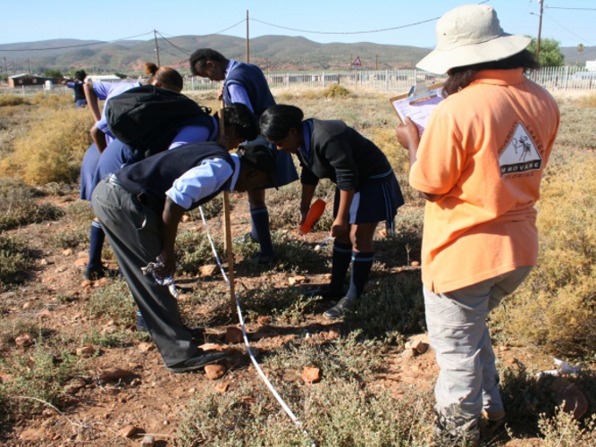 Learners from the Fezekile Secondary School in Oudtshoorn first sampling ants in the school ground.