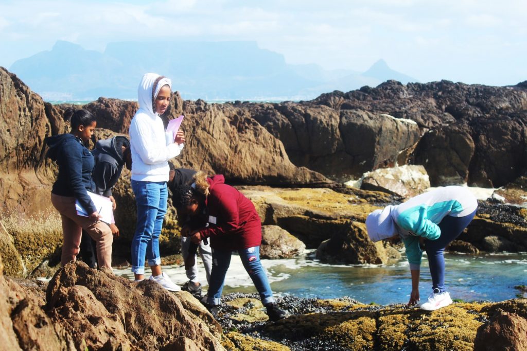 Learners from various Iimbovane schools conducting a limpet study at Blouberg Strand beach
