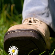 Trampling Tradition – A Call For Support