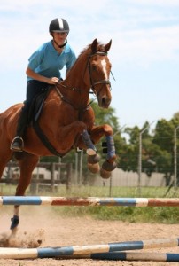 riding school horse jumping