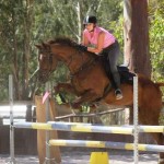 Cheree Canny and Bally (80cm)