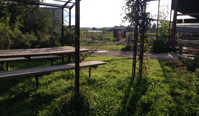 An impression: Frances in Switzerland