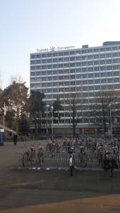 Bycycles outside Building