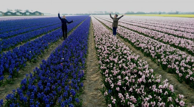 Aliza at Leiden University