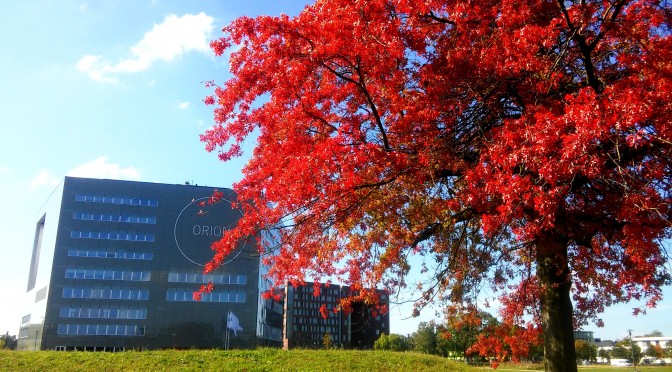 Leah at Wageningen University: City of Life Science