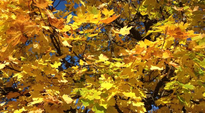 Marianne at the University of Helsinki, Finland