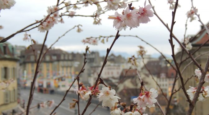 Talitha at the University of Lausanne, Switzerland