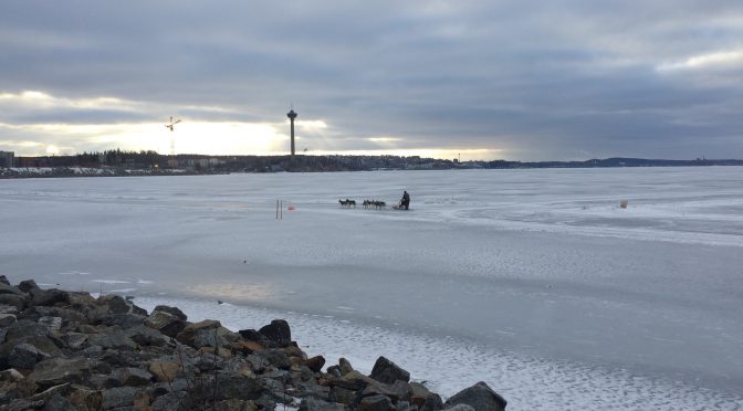 Vasti at Åbo Akademi, Finland