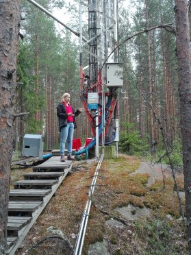 Forest Field Site