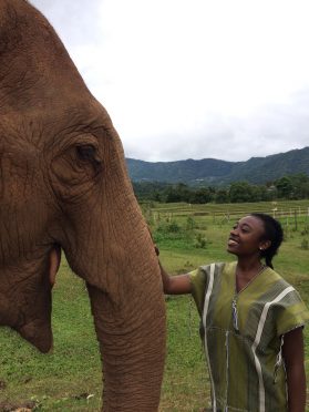 Eileen at the Dumbo Elephant Sanctuary, touching an elephant