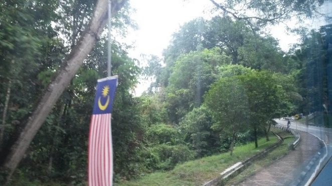 A quick photo from a bus of the green campus road, a Malaysian flag waving to greet me.