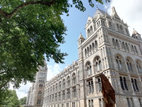 National History Museum