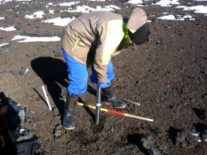 Mariette Wheeler_Interior_Marion Island_2013