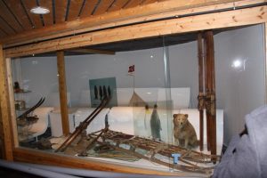 ski-museum-exhibition-of-antarctica-artefacts