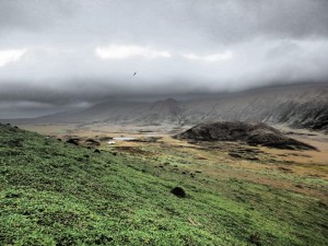 Western side of the island, Swartkop hut in the distance.     