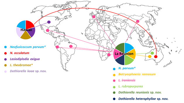 Read more about the article The silent and hidden movement of latent pathogens around the world