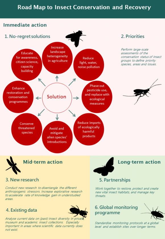 Roadmap to insect conservation and recovery, calling for action at short-, intermediate- and long-term timescales