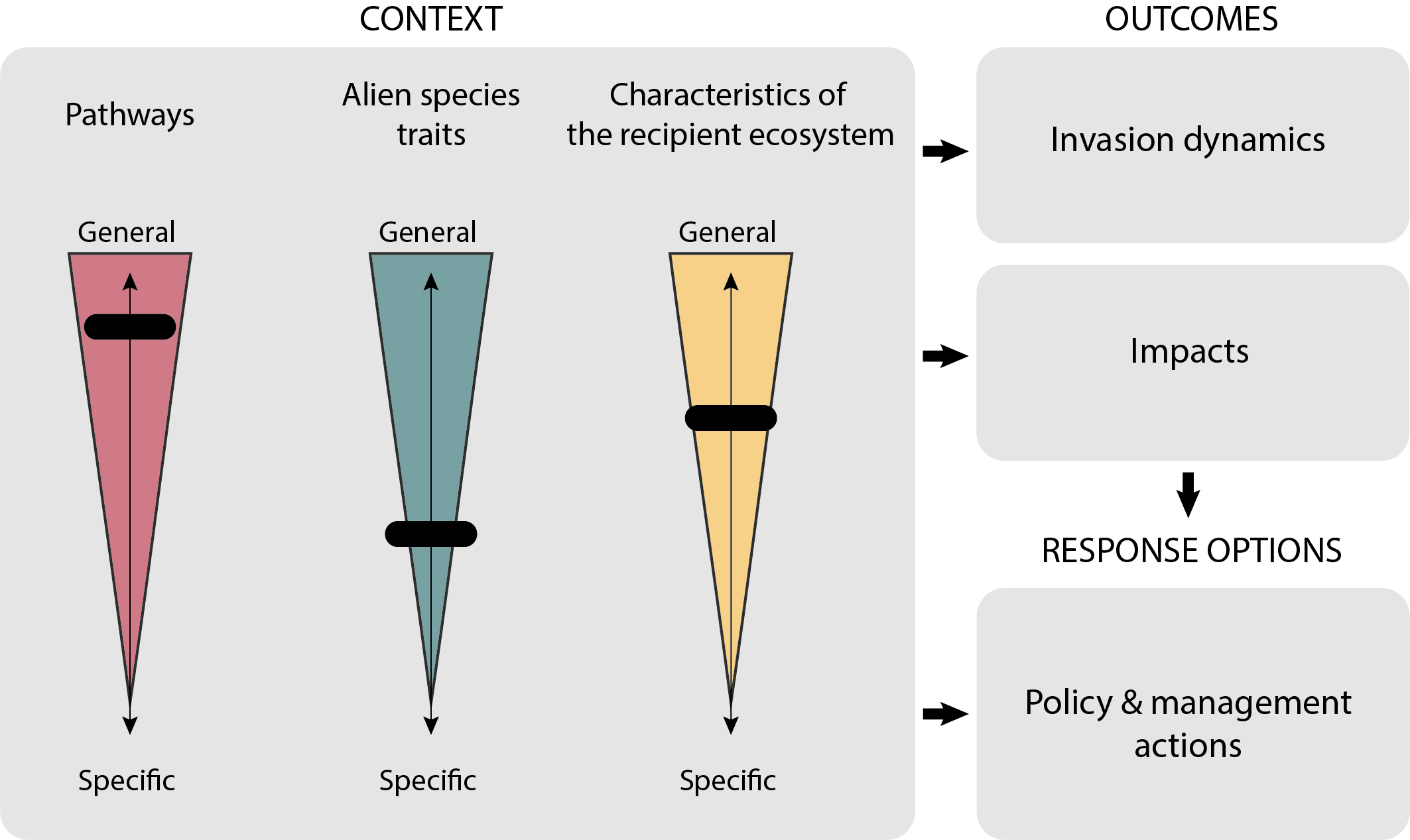 Read more about the article Identifying invasion syndromes to improve our capacity of understanding and managing biological invasions