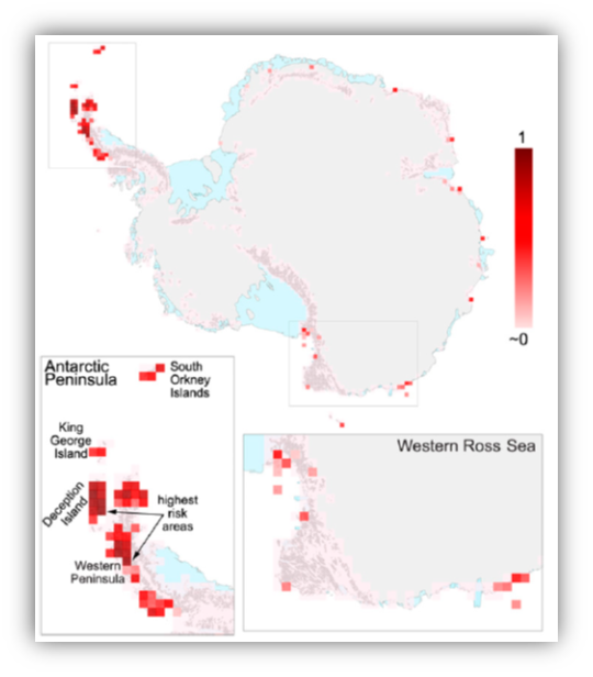 A map illustrates the relative risk of alien vascular plants establishing in Antarctica