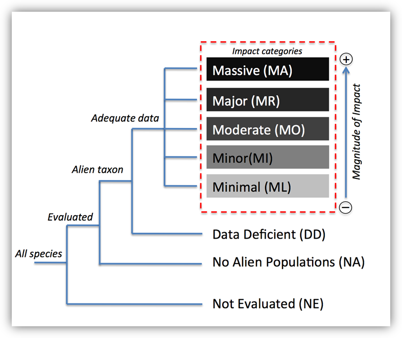 Impacts scheme