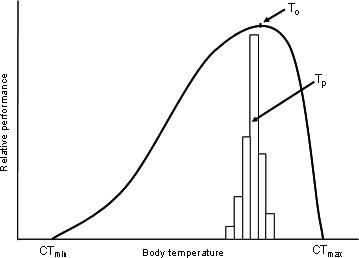 A schematic of a typical asymmetric performance curve of an ectotherm