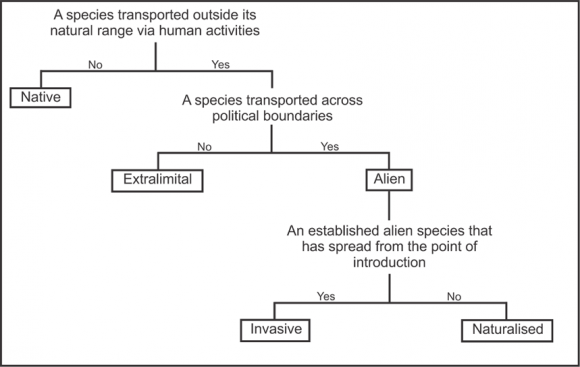 The relationship between invasion biology terms