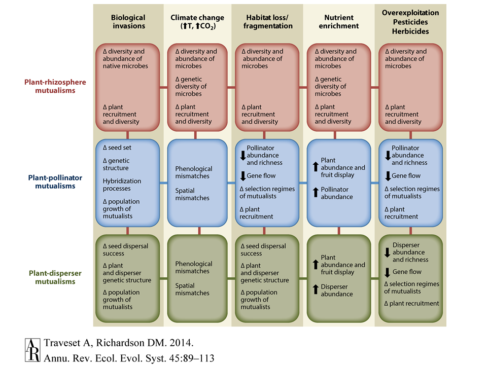 Potential effects of biological invasions on different types of mutualisms