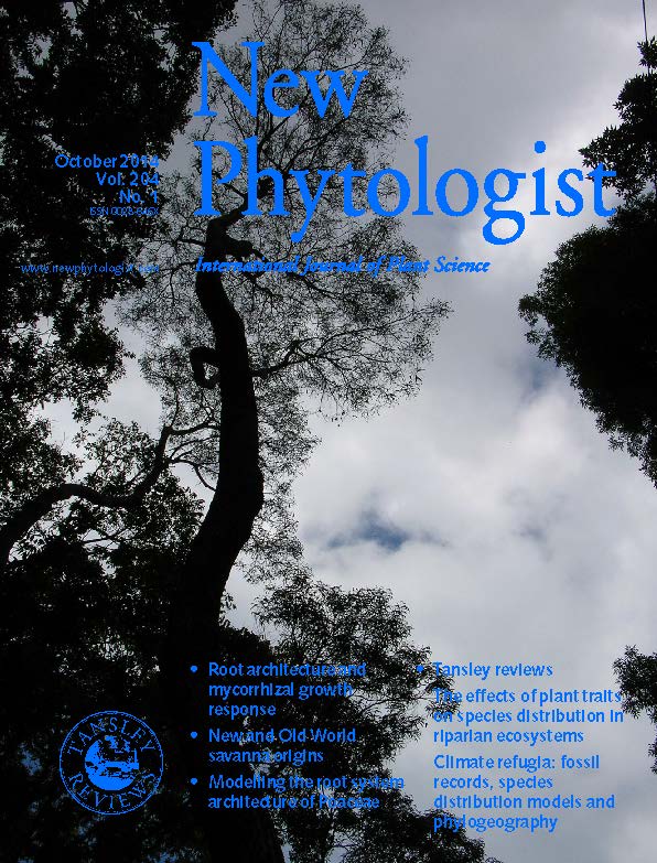 Cover of New Phytologist, Vol 204