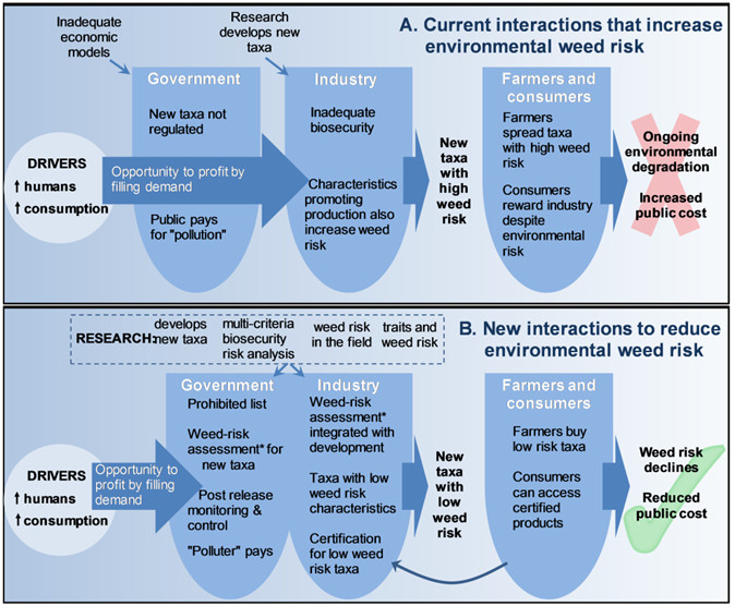 Pathways driving the emergence of problems