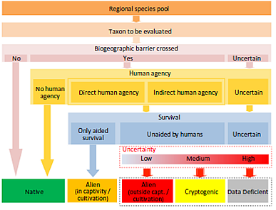 A conceptual framework map