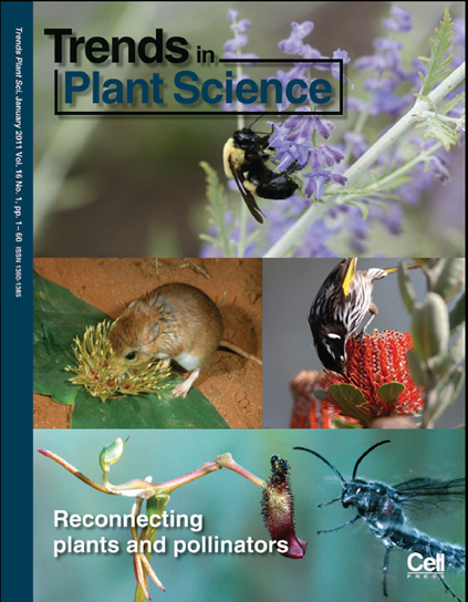 Cover of Trends in Plant Science, Vol 16