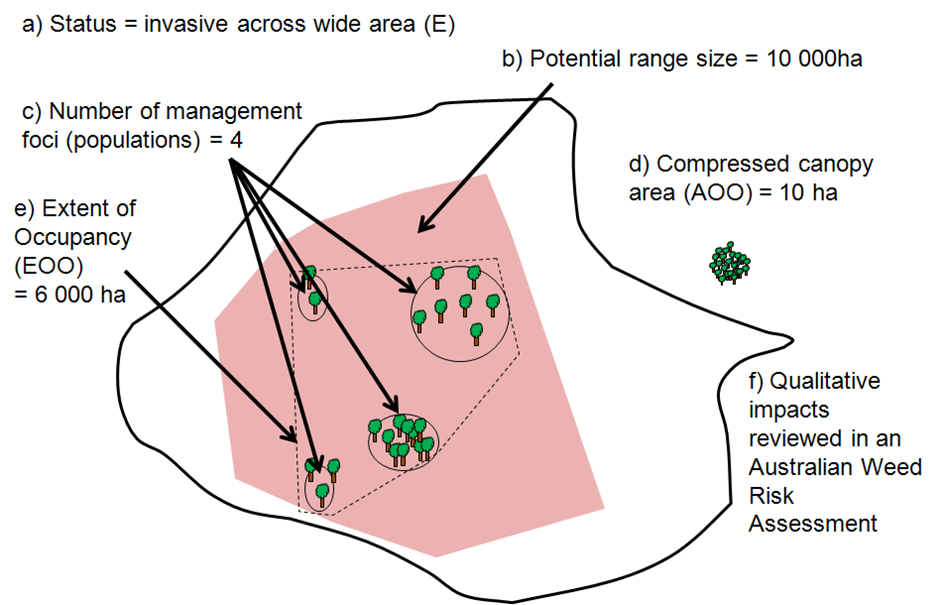 Schematic representation of the six proposed metrics