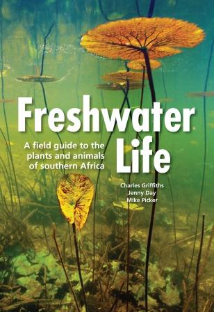 Read more about the article Freshwater Life