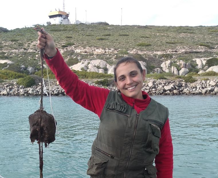 Read more about the article Dr Tainã Gonçalves Loureiro