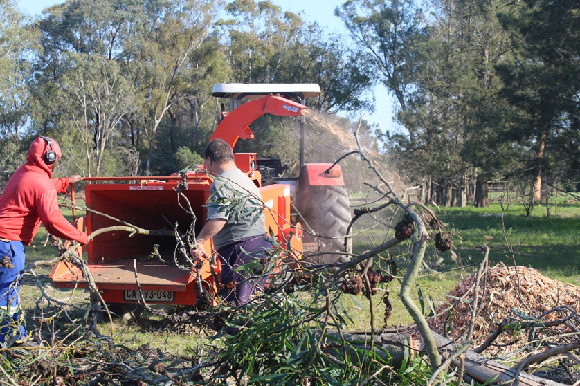 Residents of Camphill Village West Coast clearing invasive Acacia stands