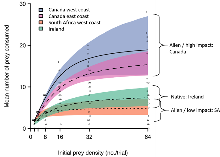 The number of mussel prey eaten by European shore crabs