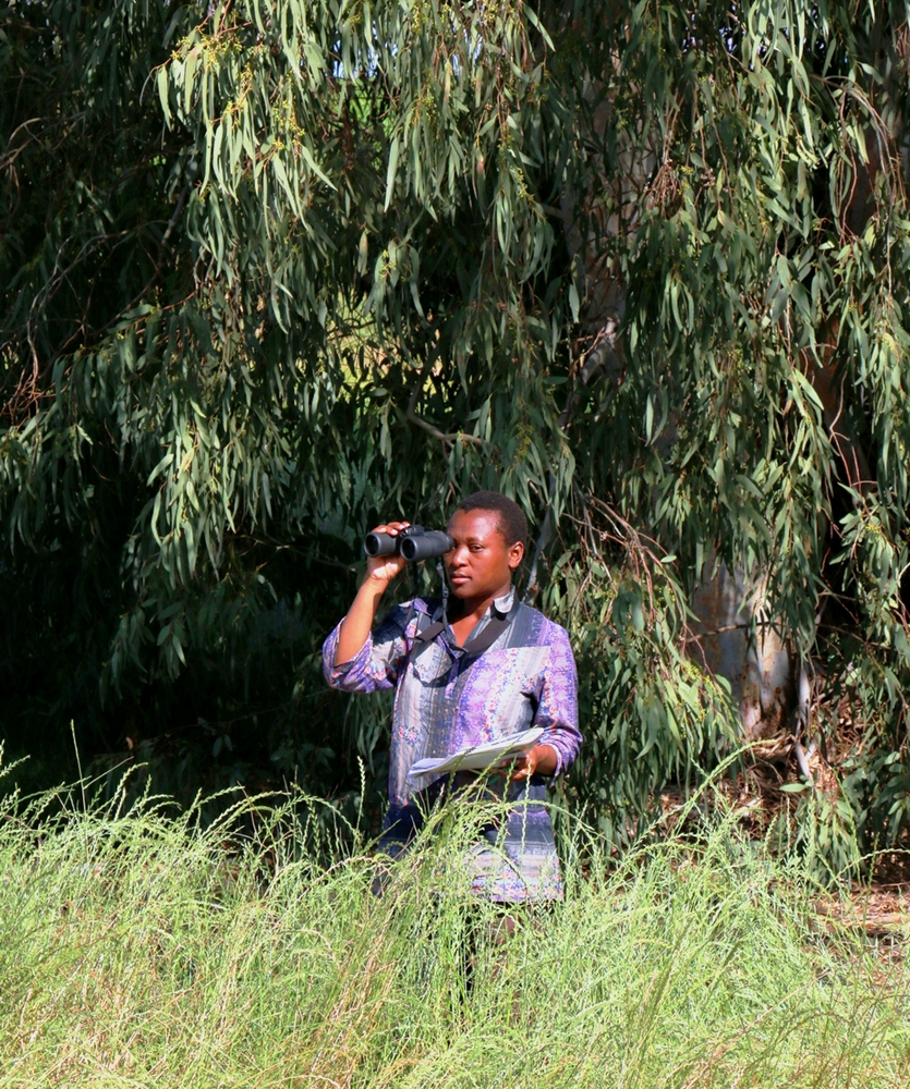 Joy Mangachena performing fixed-point bird counts at near-pristine sites
