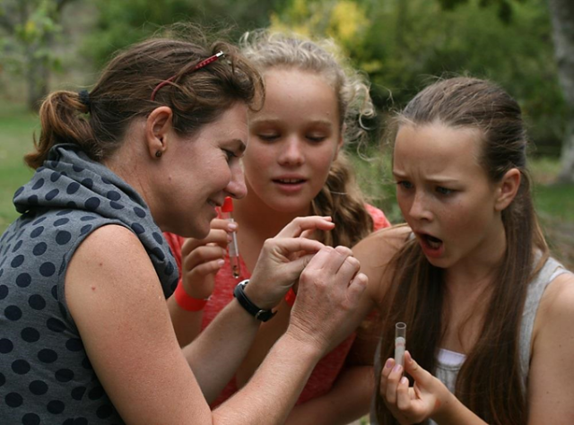 A learner surprised by the size of an ant from the Camponotus genus