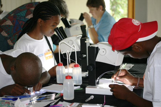 During the workshop participants made use of microscopes to learn about ant taxonomy and how to identify the ants they collected
