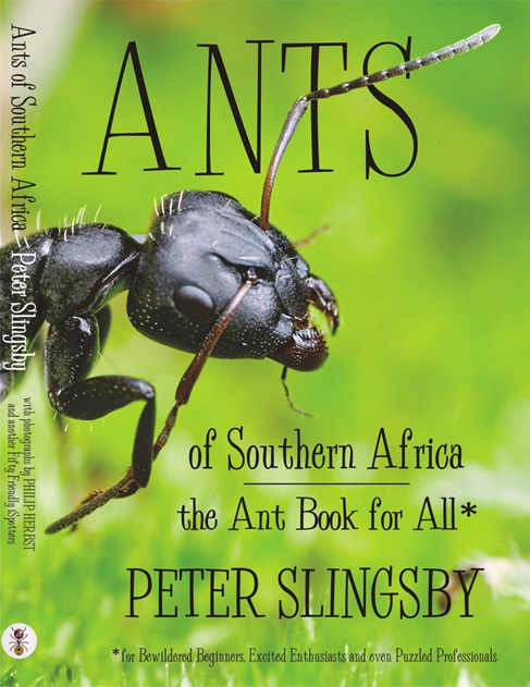 Ants of Southern Africa: a Friendly Guide