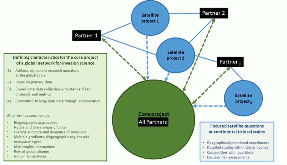 Structure of a global network on invasive species