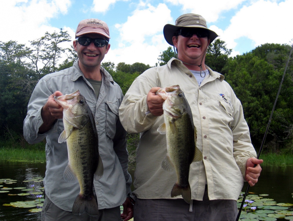 Sampling Largemouth Bass (Micropterus salmoides)