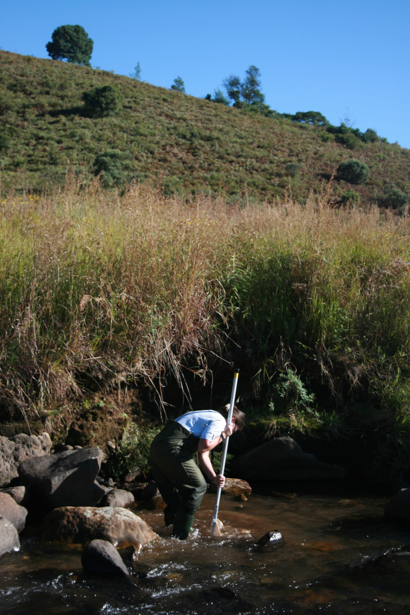 C·I·B funded MSc student and co-author, Hermina Fourie, sampling for invasive trout and native fish species
