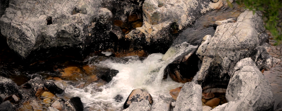 The 2m-high waterfall that prevents bass from moving further upstream in the Witte River