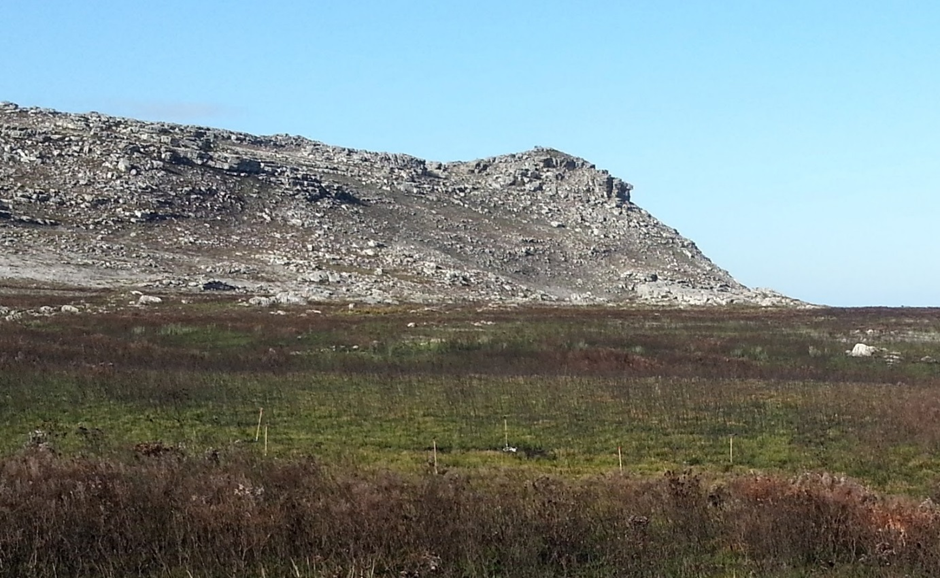 An acoustic array at the study site in Table Mountain National Park