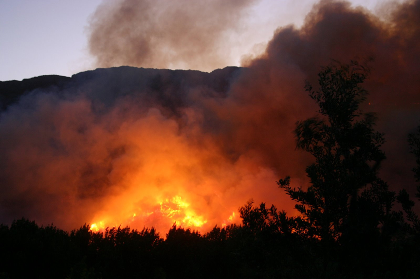 Fire swept through Jonkershoek Nature Reserve, South Africa, during February 2009 