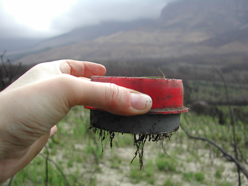 A litter trap when removed from the field